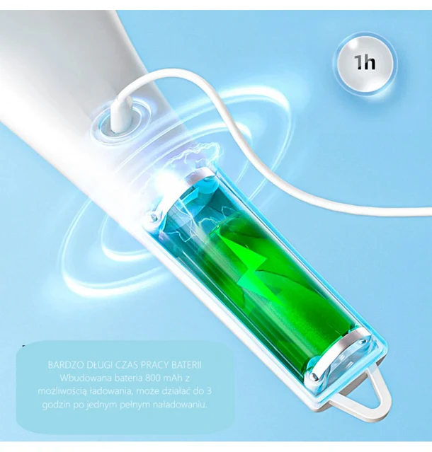 5.webp